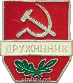 Нагрудный знак Дружинник  