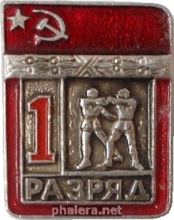 Знак 1 Разряд, самбо
