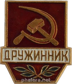Нагрудный знак Дружинник 
