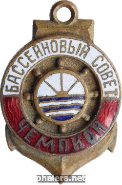 Нагрудный знак Бассейновый Совет Чемпион. ДСО 