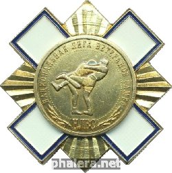 Нагрудный знак Национальная Лига Ветеранов Самбо  
