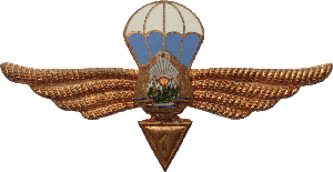 Знак Парашютист 1 класса