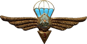 Нагрудный знак Парашютист 3 класса 