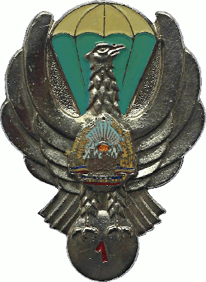 Знак Парашютист 1 класса