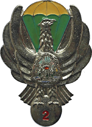 Нагрудный знак Парашютист 2 класса 