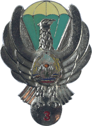 Нагрудный знак Парашютист 3 класса 