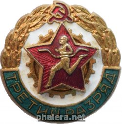 Нагрудный знак Третий Разряд 