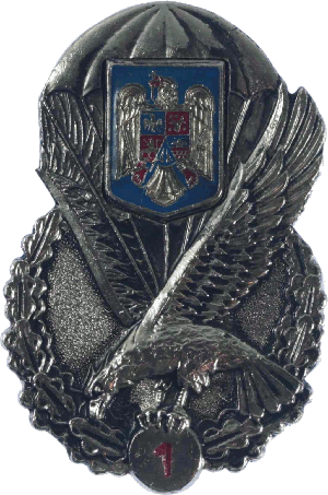 Нагрудный знак Парашютист 1 класса 
