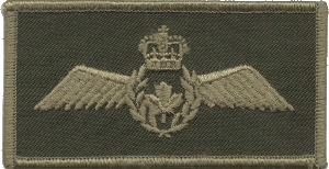 Нагрудный знак Пилот 