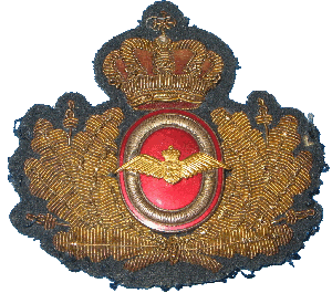 Нагрудный знак Кокарда ВВС 