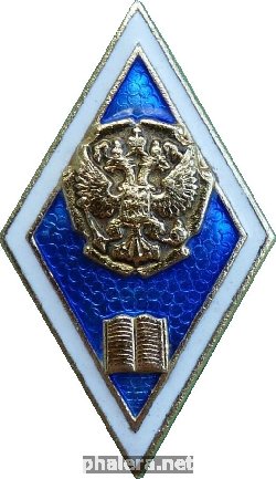 Нагрудный знак Финансовый Университет/Институт 