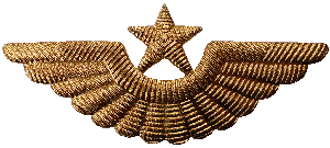 Badge Cap badge 