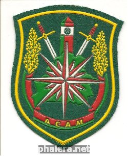 Нагрудный знак АСАМ 