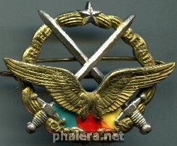 Нагрудный знак Эмблема на берет 