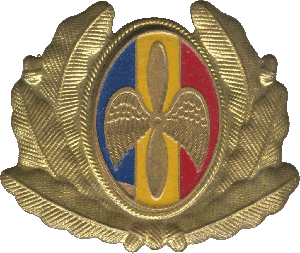 Знак Офицерская кокарда ВВС