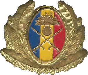 Нагрудный знак Офицерская кокарда, пехота 