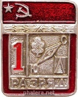 Нагрудный знак 1 Разряд Спортивное Ориентирование 