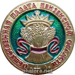 Нагрудный знак Общественная Палата Пензенской Области. 