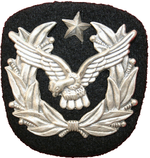 Знак Офицерская кокарда ВВС