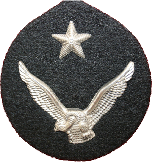Знак Кокарда ВВС