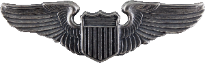 Нагрудный знак Пилот 