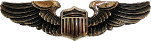 Нагрудный знак Пилот 