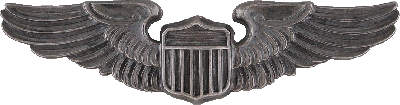 Нагрудный знак Пилот 