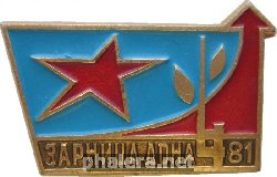 Знак Зарница Дона, 1981. Областной Финал Игры Ростовская Область.