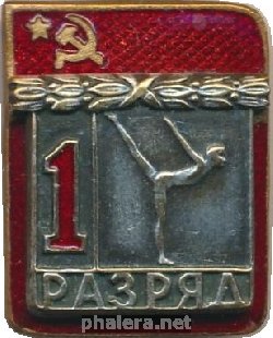Нагрудный знак 1 Разряд, художественная гимнастика 
