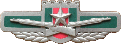 Badge Infantry 