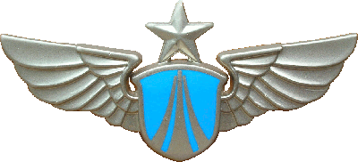 Знак Общий ВВС