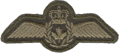 Нагрудный знак Пилот 