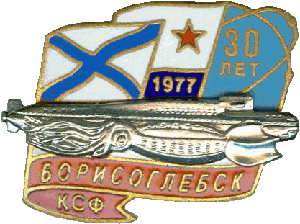 Badge Borisoglebsk 30 years 