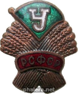 Нагрудный знак ДСО 