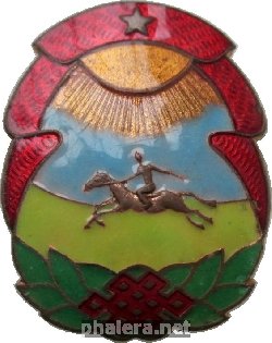 Нагрудный знак Отличник 