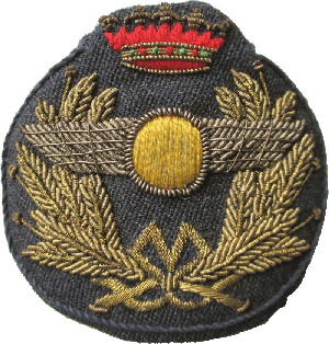 Нагрудный знак Кокарда ВВС 