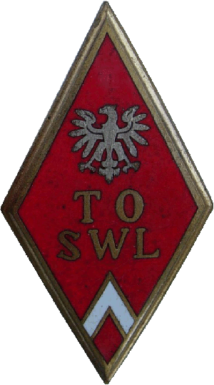 Знак Техническая офицерская школа ВВС