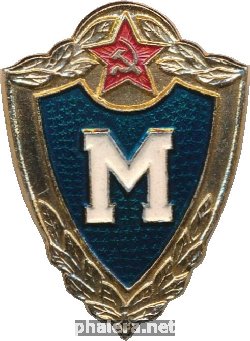 Нагрудный знак Мастер для рядового и сержантского состава 