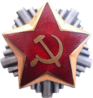 Знак Офицерская кокарда на пилотку