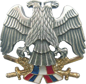 Нагрудный знак Кокарда на берет рядового состава 