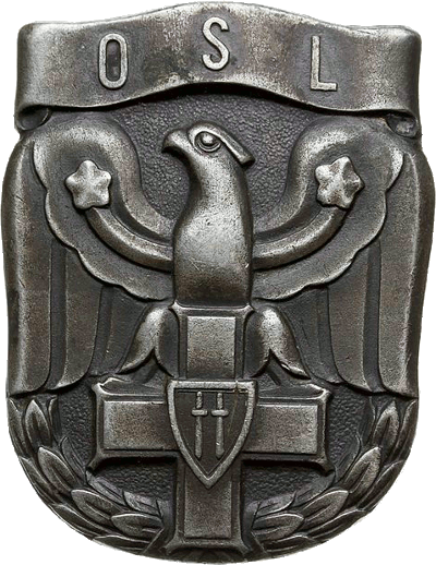 Знак Офицерская авиационная школа