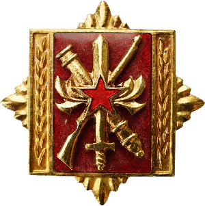 Нагрудный знак Командная академия 