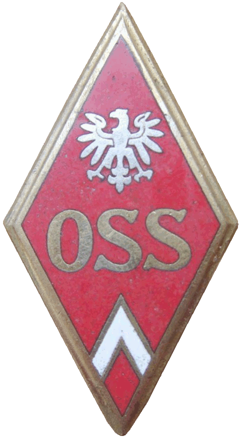 Знак Офицерская автомобильная школа