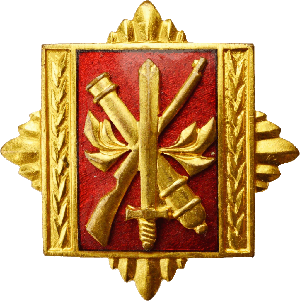 Знак Командная академия