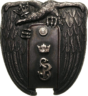 Badge Instructor of Infantry School Ostrow Mazowiecka 