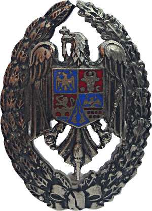 Знак Военная академия