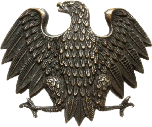 Знак Кокарда 1 пехотной дивизии 