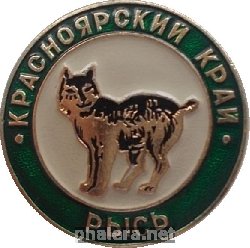 Нагрудный знак Рысь. Красноярский край 