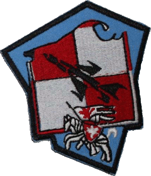 Нагрудный знак 9 авиационный полк 