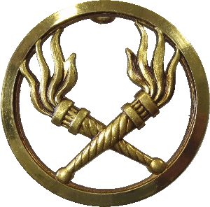 Нагрудный знак Служба ГСМ 